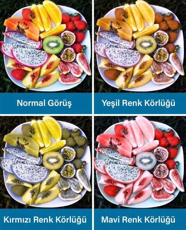 Foto - Renk körlüğü olanlar nasıl görüyor?