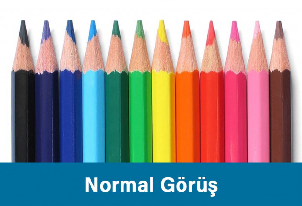 Renk körlüğü olanlar nasıl görüyor?