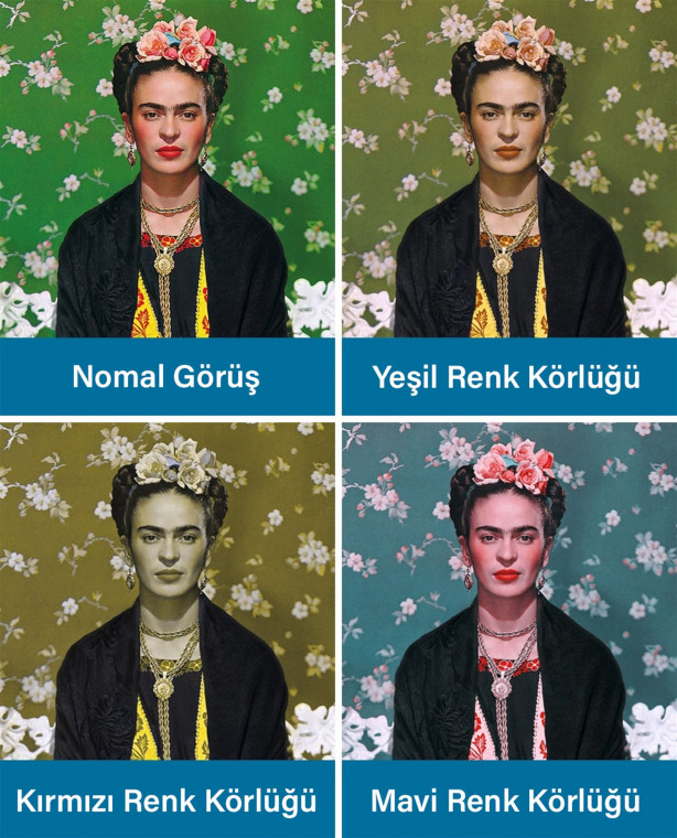 Foto - Renk körlüğü olanlar nasıl görüyor?