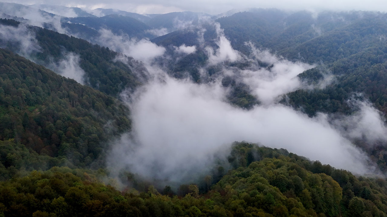 Renklerin ve sisin dansı! Sakarya’nın gizli cenneti Çam Dağı
