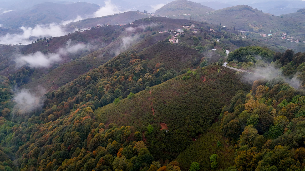 Foto - Renklerin ve sisin dansı! Sakarya’nın gizli cenneti Çam Dağı