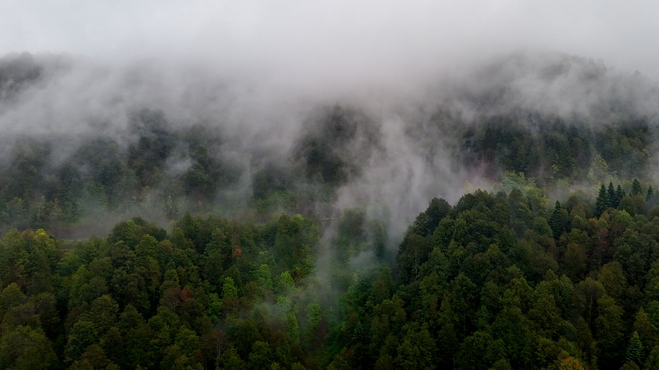 Foto - Renklerin ve sisin dansı! Sakarya’nın gizli cenneti Çam Dağı