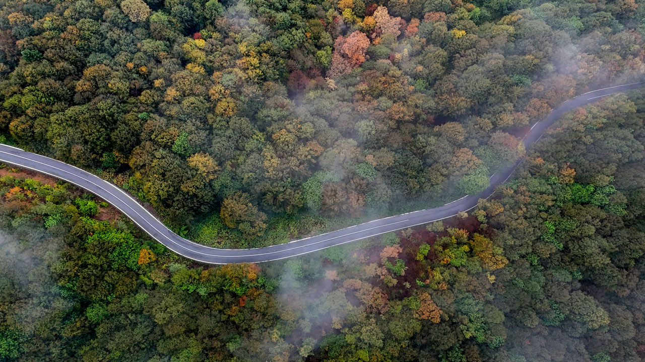 Foto - Renklerin ve sisin dansı! Sakarya’nın gizli cenneti Çam Dağı