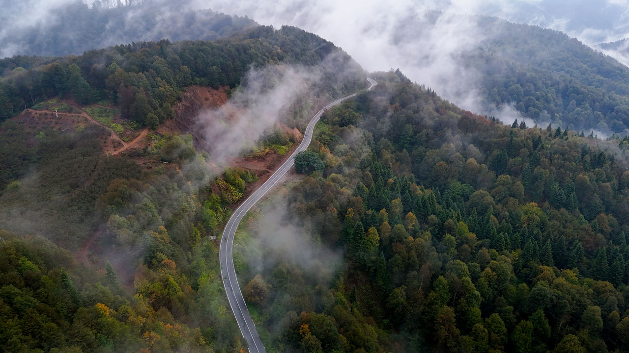 Foto - Renklerin ve sisin dansı! Sakarya’nın gizli cenneti Çam Dağı