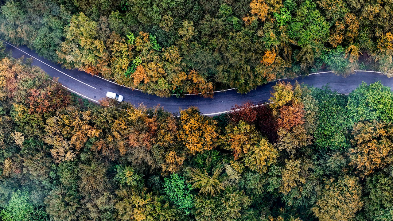 Foto - Renklerin ve sisin dansı! Sakarya’nın gizli cenneti Çam Dağı