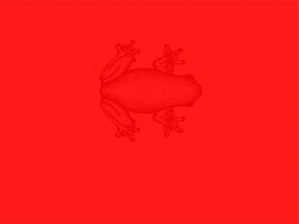 Foto - Resimde gizlenmiş nesneyi bulabilecek misiniz?