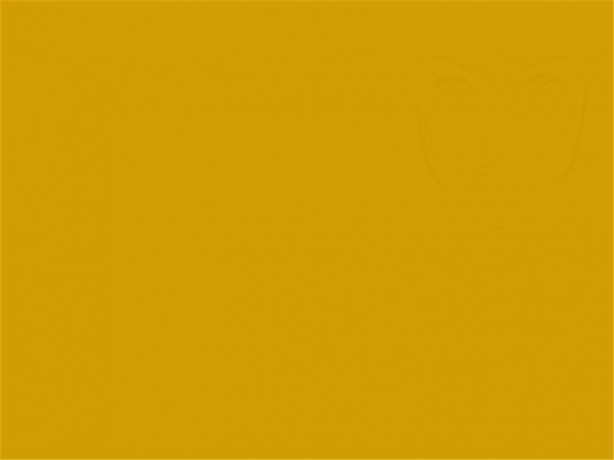 Foto - Resimde gizlenmiş nesneyi bulabilecek misiniz?