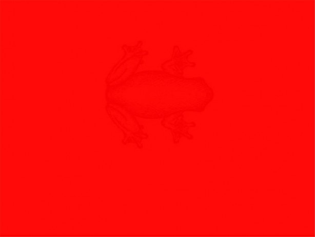 Foto - Resimde gizlenmiş nesneyi bulabilecek misiniz?