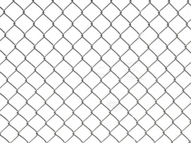 Foto - Resimde gizlenmiş nesneyi bulabilecek misiniz?