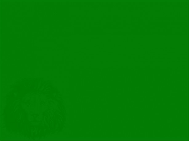 Foto - Resimde gizlenmiş nesneyi bulabilecek misiniz?