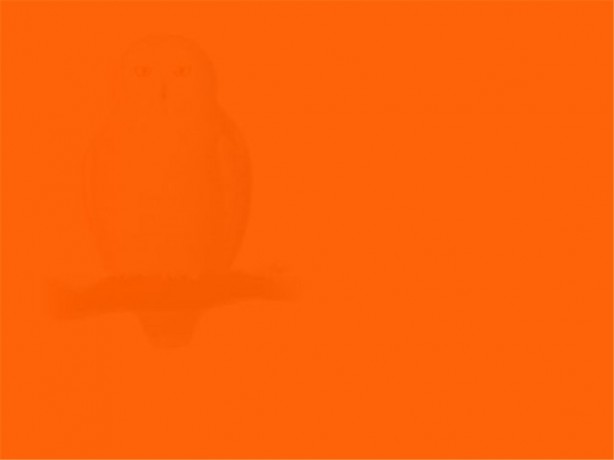 Resimde gizlenmiş nesneyi bulabilecek misiniz?