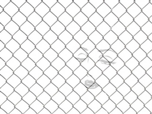 Foto - Resimde gizlenmiş nesneyi bulabilecek misiniz?