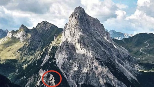 Foto - Resimdeki kartalı bulmak için 10 saniyeniz var! Beşiktaşlılar bile bulamıyor!