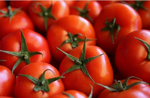 Foto - "Türkiye İsrail'den o sebzenin tohumunu alıyor" iddiası doğru çıktı! 'Alıyoruz ama...' diye söze başlayarak açıkladı