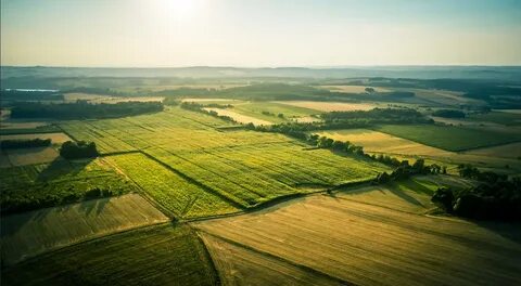 Foto - Resmen başlıyor! Artık o satışlar KDV'den muaf olacak