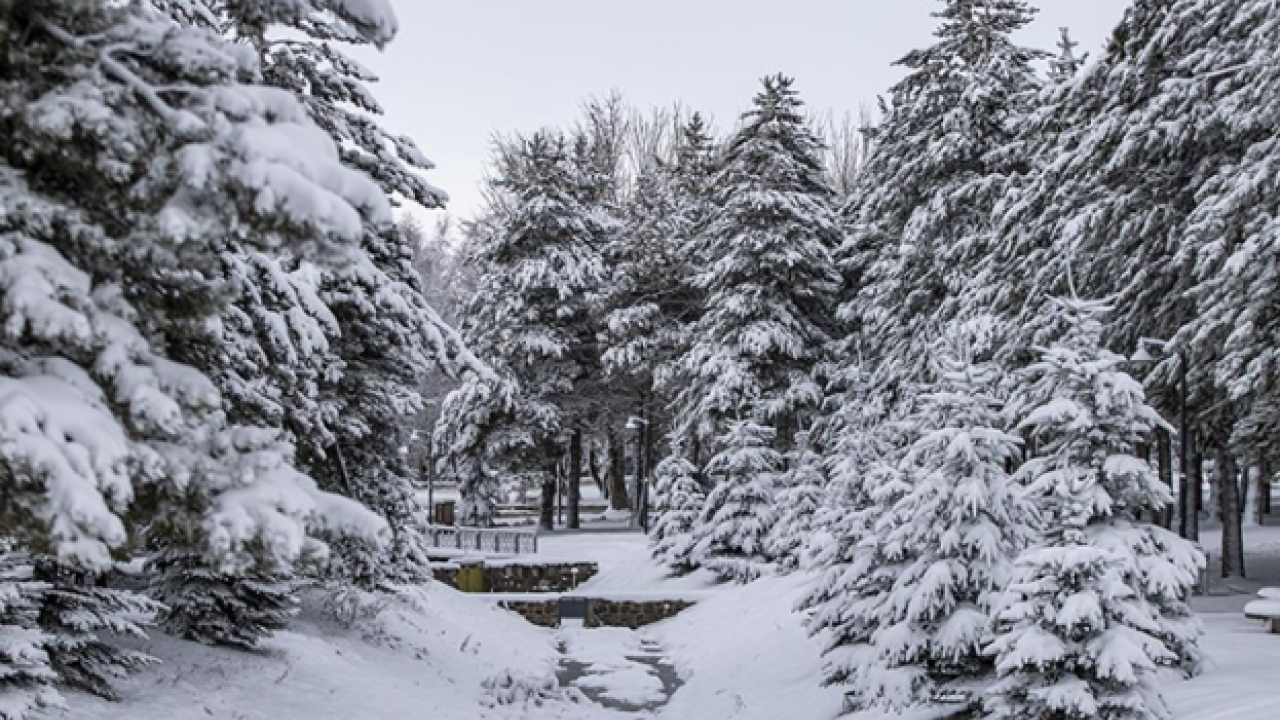 Resmen buz kesti: İşte Türkiye'nin en soğuk yeri!