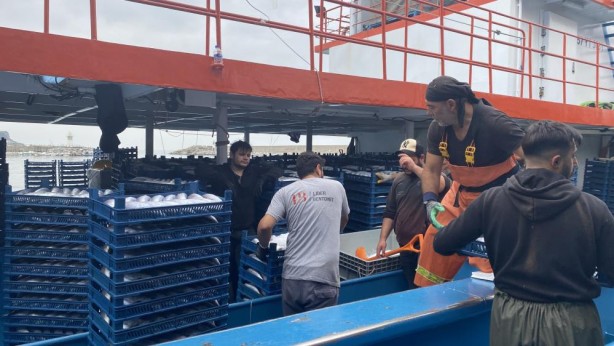 Resmen denizden fışkırdı! 10 bin kasayı buldu