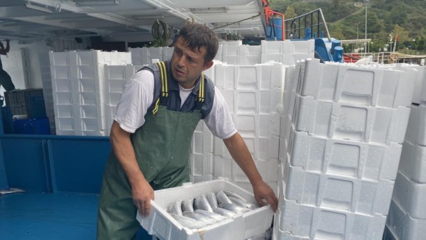 Foto - Resmen denizden fışkırdı! 10 bin kasayı buldu