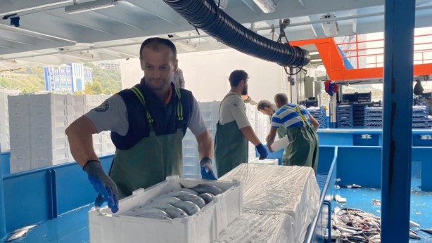 Foto - Resmen denizden fışkırdı! 10 bin kasayı buldu