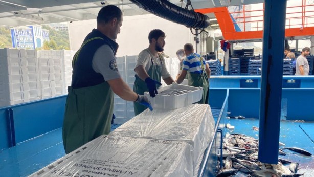 Foto - Resmen denizden fışkırdı! 10 bin kasayı buldu