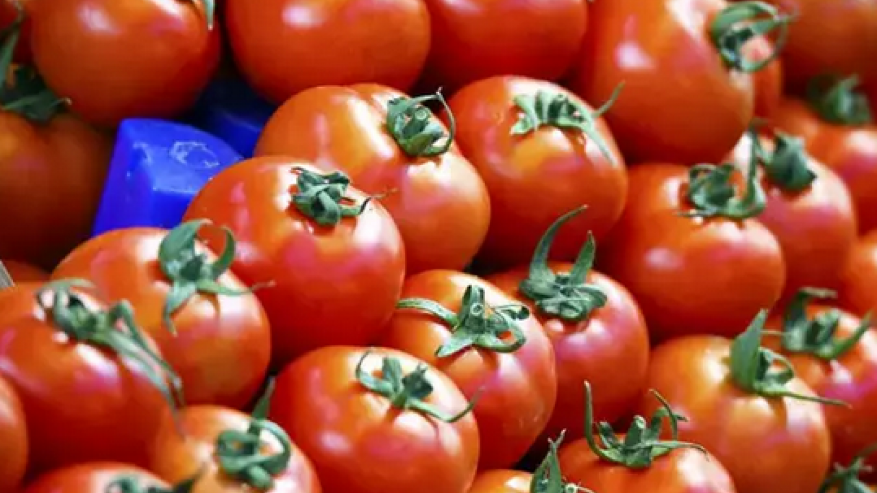 Foto - Resmen doğal gençlik iksiri! Pazarda gördüğünüzde poşet poşet alın: Vücuda antioksidan yüklüyor, sindirimi rahatlatıyor! 