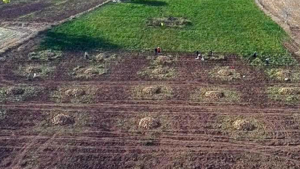 Foto - Resmen servet ekip servet biçiyor! O ürün, ağızları açık bırakıyor! Tonundan bakın ne kazanıyor