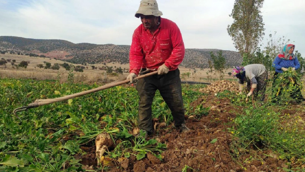 Foto - Resmen servet ekip servet biçiyor! O ürün, ağızları açık bırakıyor! Tonundan bakın ne kazanıyor