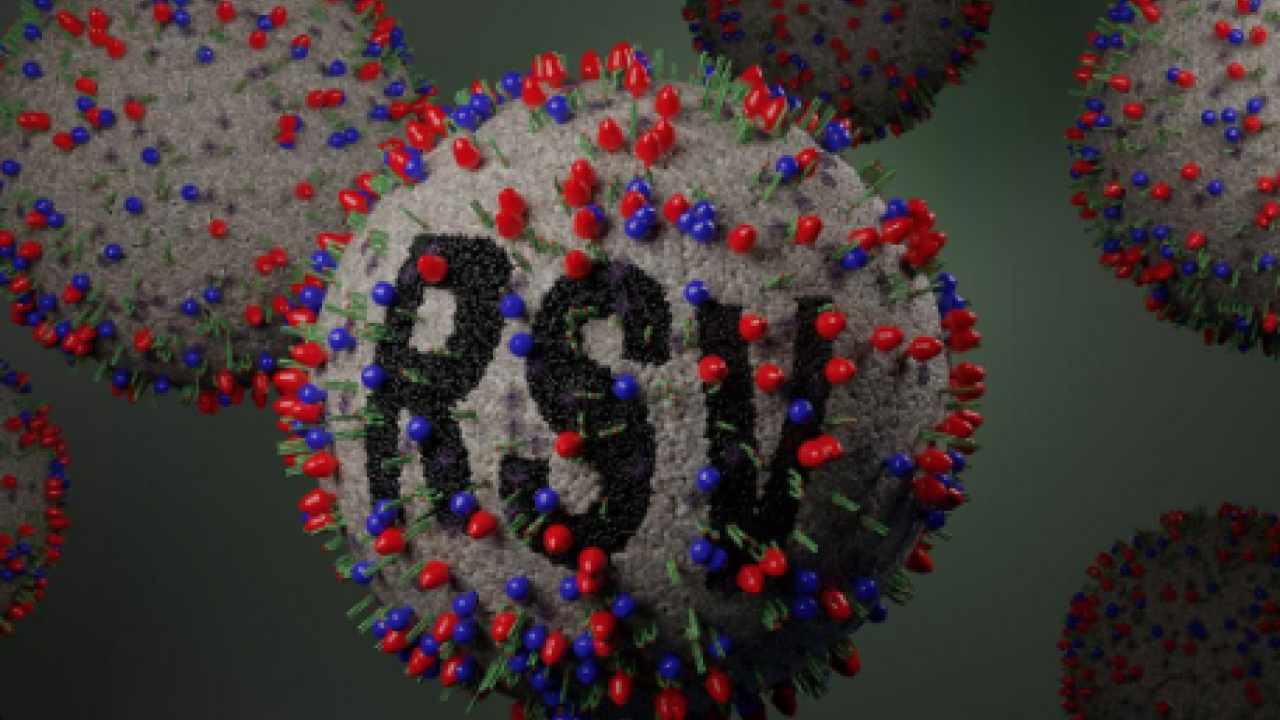 Respiratuvar Sinsityal Virüs... Hastalık haritası değişti: RSV düşüşte, grip tırmanışta