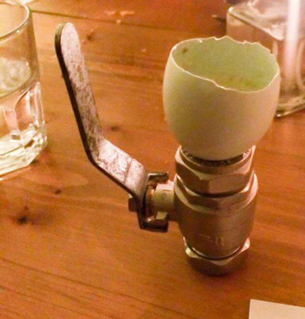 Foto - Restoranlardan tuhaf sunumlar