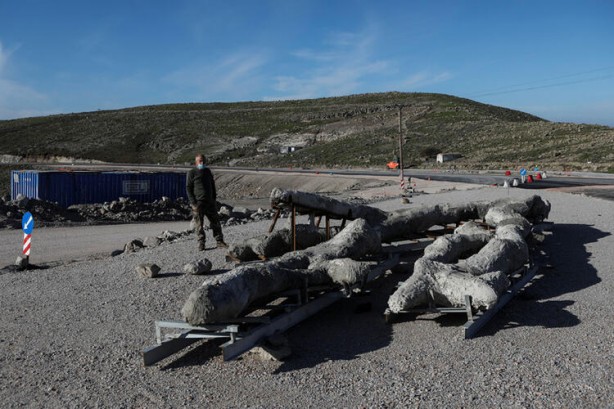 Foto - Reuters az önce dünyaya servis etti! Ege'de bulundu