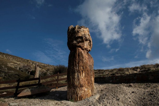Foto - Reuters az önce dünyaya servis etti! Ege'de bulundu