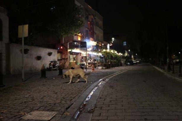 Foto - Reuters Türkiye'den bu kareleri servis etti! Fotoğraflar peş peşe geldi