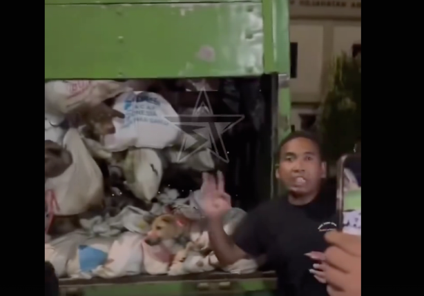 Foto - Rezalet ki ne rezalet! Çöp arabasından onlarca canlı köpek çıktı! İşte kan donduran görüntüler