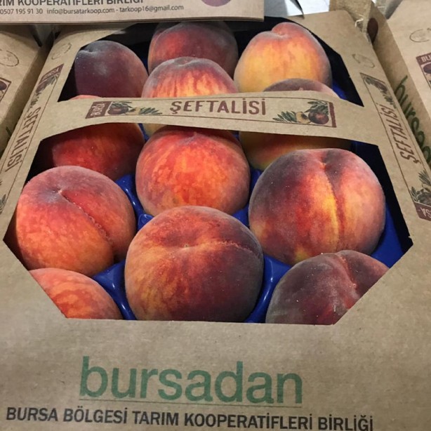 Foto - Rezalet ki ne rezalet! Şeftalide büyük skandal