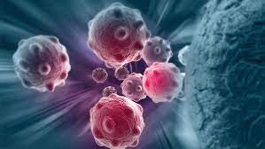 Foto - Rezene çayının sağlığa 10 faydası: Şüphe duymayın, şifa deposu! Şipşak hazırlayabileceksiniz