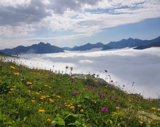 Foto - Rize Çayeli'nden iç açan görüntüler
