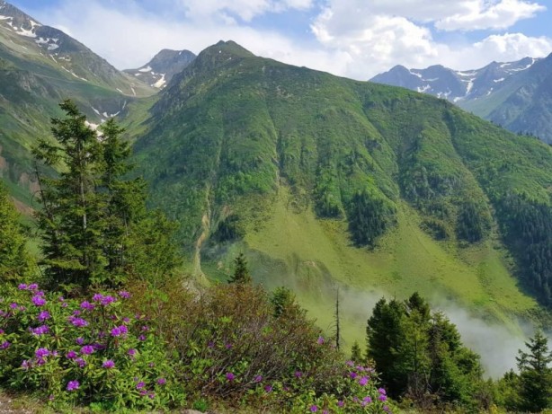 Foto - Rize Çayeli'nden iç açan görüntüler