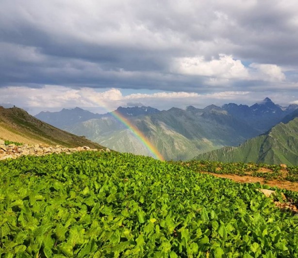 Foto - Rize Çayeli'nden iç açan görüntüler