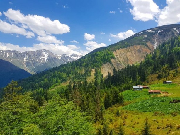 Foto - Rize Çayeli'nden iç açan görüntüler