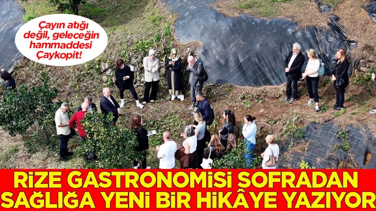 Rize gastronomisi sofradan sağlığa yeni bir hikâye yazıyor! Çayın atığı değil, geleceğin hammaddesi, Çaykopit