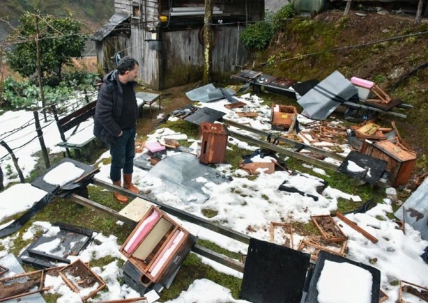 Foto - Rize'de aç kalan ayılar köye indi