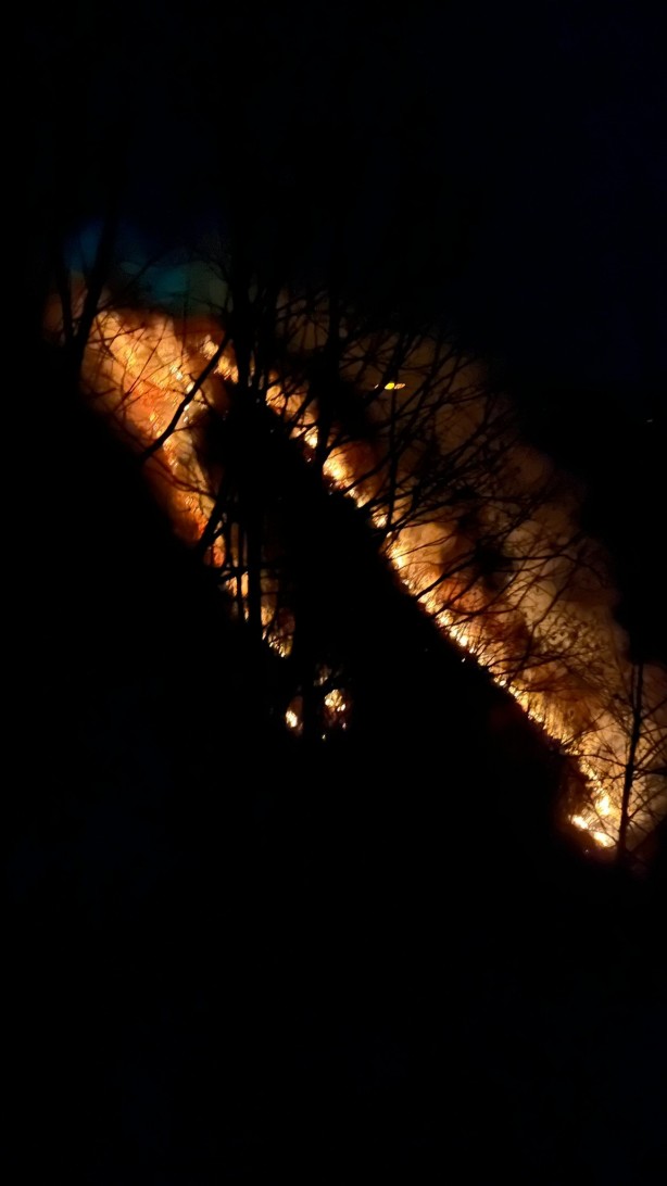 Foto - Rize'de çıkan örtü yangını kontrol altına alındı