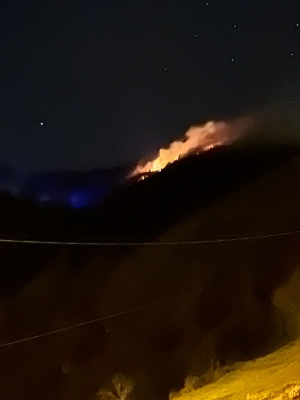 Foto - Rize'de çıkan örtü yangını kontrol altına alındı