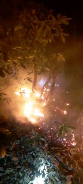 Foto - Rize'de çıkan örtü yangını kontrol altına alındı