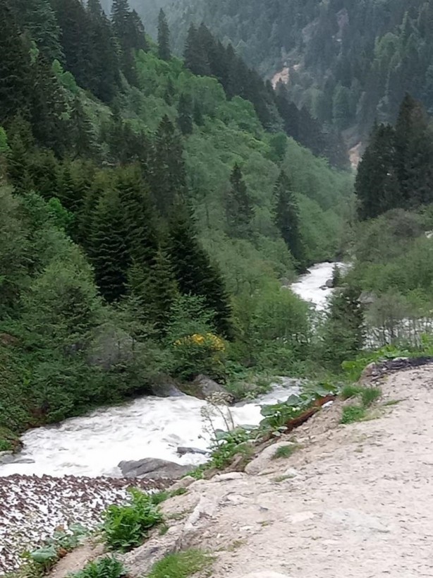 Foto - Rize'de dereye düşen turist kayboldu