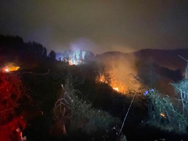 Rize'de orman yangını çıktı