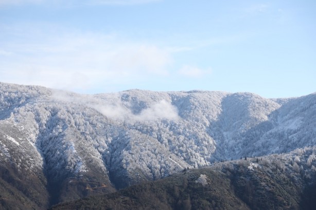 Foto - Rize'de yüksek kesimlerde kar yağışı