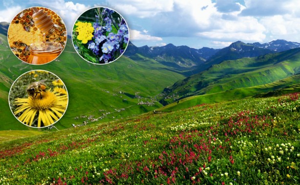 Foto - Rize’den sevindiren haber! Coğrafi işaret belgesi aldı