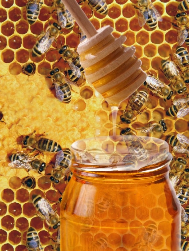 Foto - Rize’den sevindiren haber! Coğrafi işaret belgesi aldı