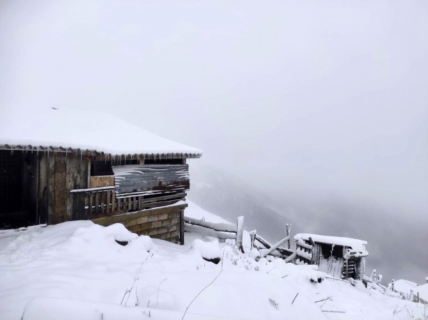 Foto - Rize'den sürpriz görüntüler! Kar yağışı beyaza bürüdü